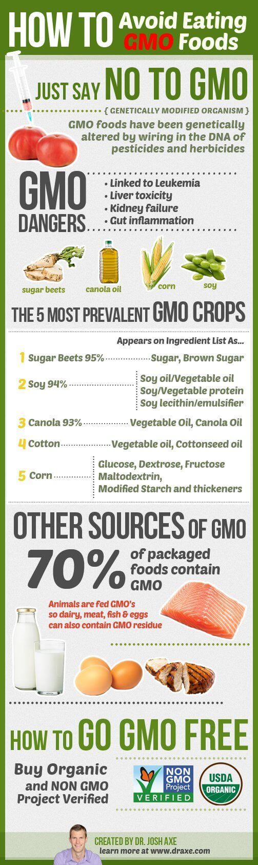 6 Major Disadvantages Of Genetically Modified Foods Bio Explorer 8152