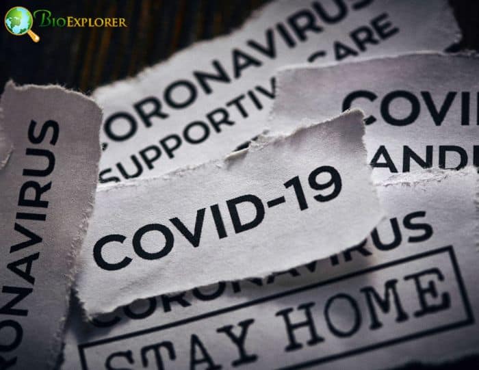 COVID-19 Defense