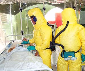 ebola viruses