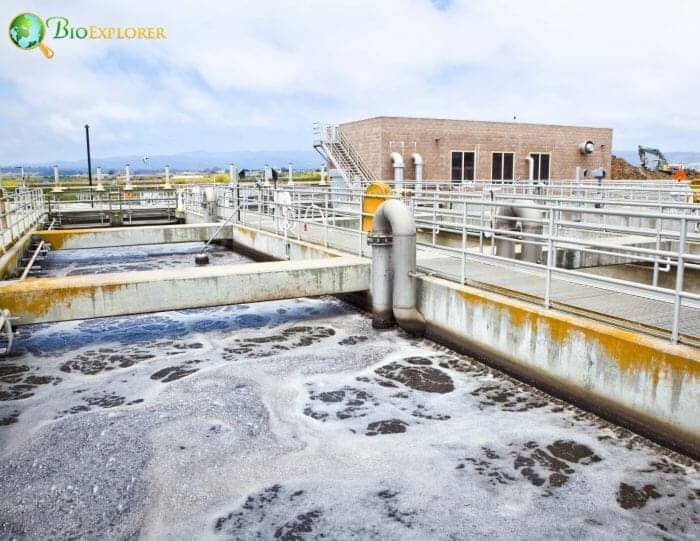 1 Wastewater Treatment