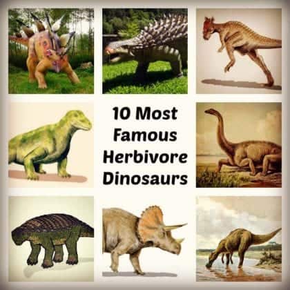 Herbivore Dinosaurs Famous List Of Plant Eating Dinosaurs