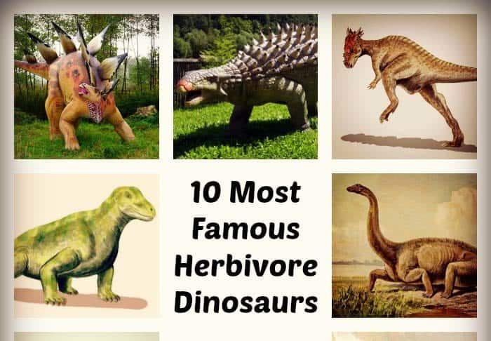 famous herbivore dinosaurs