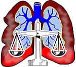 respiratory system fun fact breath body weight