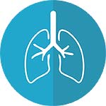 respiratory system fun fact respiration vs breathing