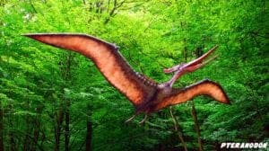 prehistoric kingdom pteranodon