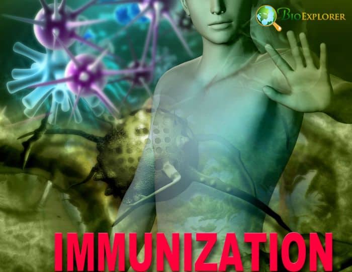Preventing Autoimmune Disease