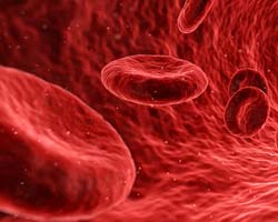 Blood Platelets
