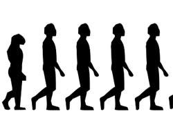 Body Size Evolution