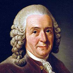 Karl Linnaeus