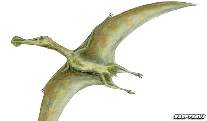 Quetzalcoatlus Flying Dinosaur Names