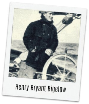 Henry Bryant Bigelow