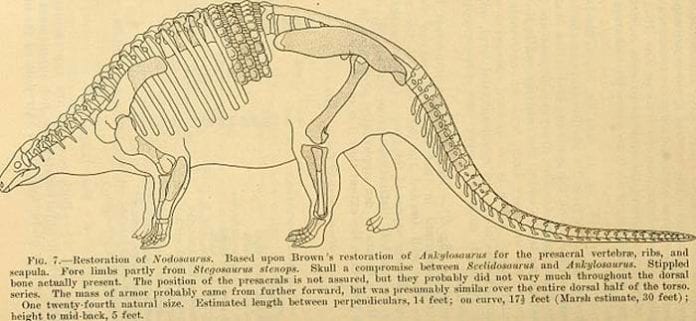 different types of herbivore dinosaurs