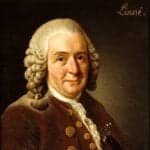 Botanist: Carolus Linnaeus