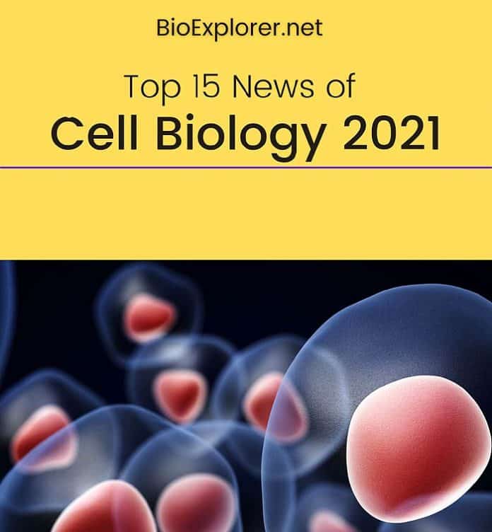 new research topics in cell biology