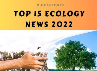 Biology News Archives | Research News | Current Events | BioExplorer