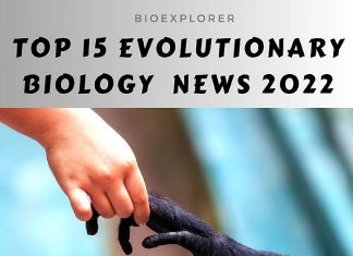 Biology News Archives | Research News | Current Events | BioExplorer