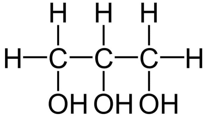 building-blocks-of-lipids-structure-function-examples-of-lipids