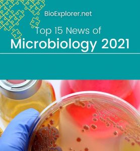 microbiology research topics 2021