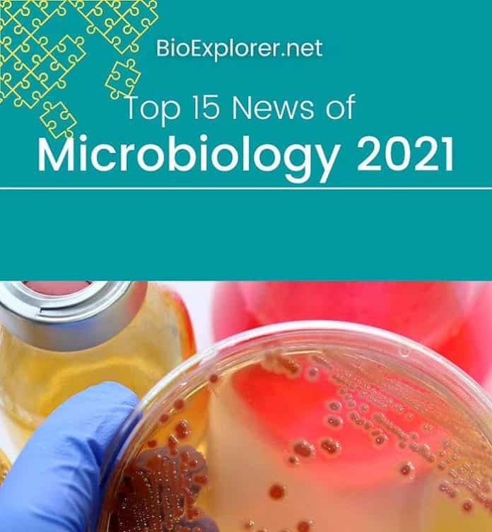 latest research for microbiology