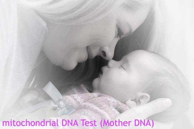 MtDNA Testing