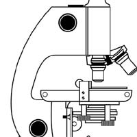 Pathologist