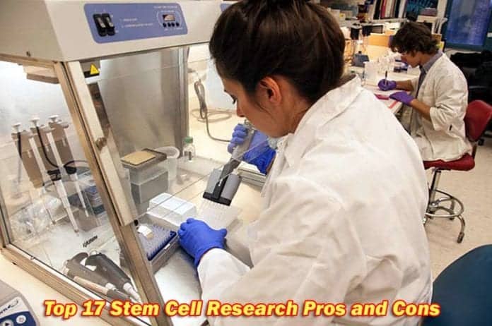 Stem Cell Research Pros and Cons