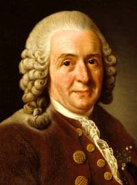 Carolus Linnaeus (Father of Taxonomy)