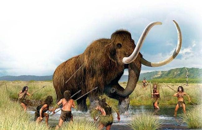 Elephant Evolution | From Moeritherium To Modern Day Elephants