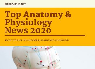 Anatomy News 2020
