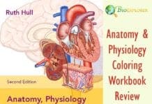 Best Anatomy and Physiology Coloring Workbook Review