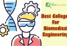 Best Colleges For Biomedical Engineering