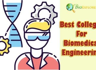 Best Colleges For Biomedical Engineering