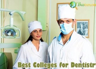 Best colleges for dentistry