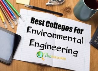 Best Colleges For Environmental Engineering