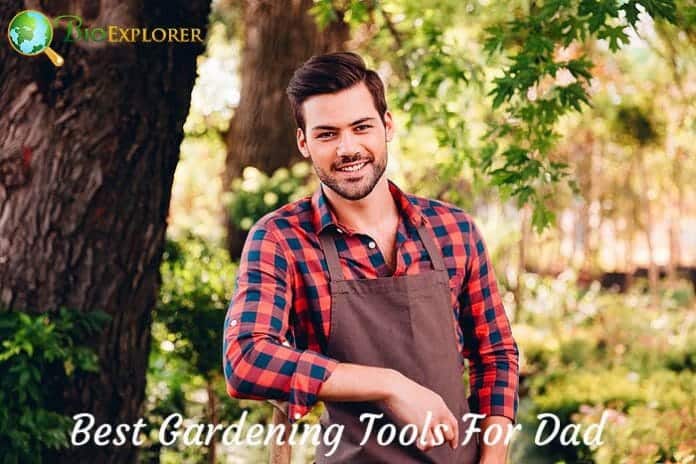 Best Gardening Tools For Dad