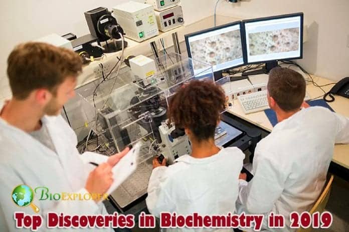 Biochemistry Discoveries of 2019