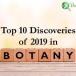 Botany Discoveries in 2019