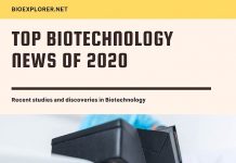 Biotechnology News 2020