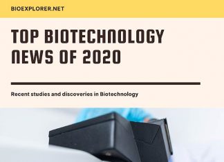 Biotechnology News 2020
