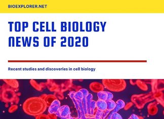 Cell Biology News 2020