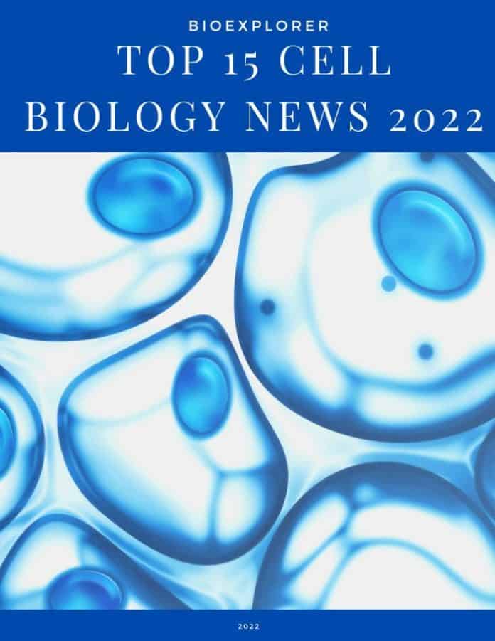 Top 15 Cell Biology News of 2022