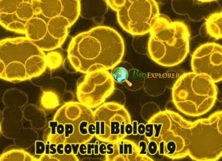 Cell Biology Discoveries in 2019