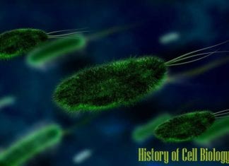 History of Cell Biology