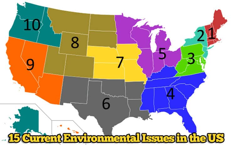 mm kig ind Syge person Top 15 Current Environmental Issues In America | Biology Explorer