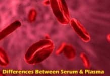 Differences between Serum and Plasma