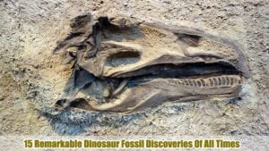 best dinosaur fossil sites