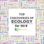 Discoveries in Ecology 2019