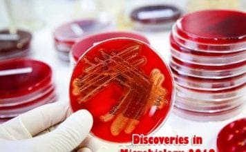 Latest Discoveries In Microbiology 2019