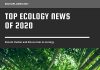 Ecology News 2020