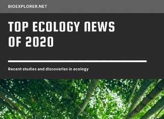 Ecology News 2020